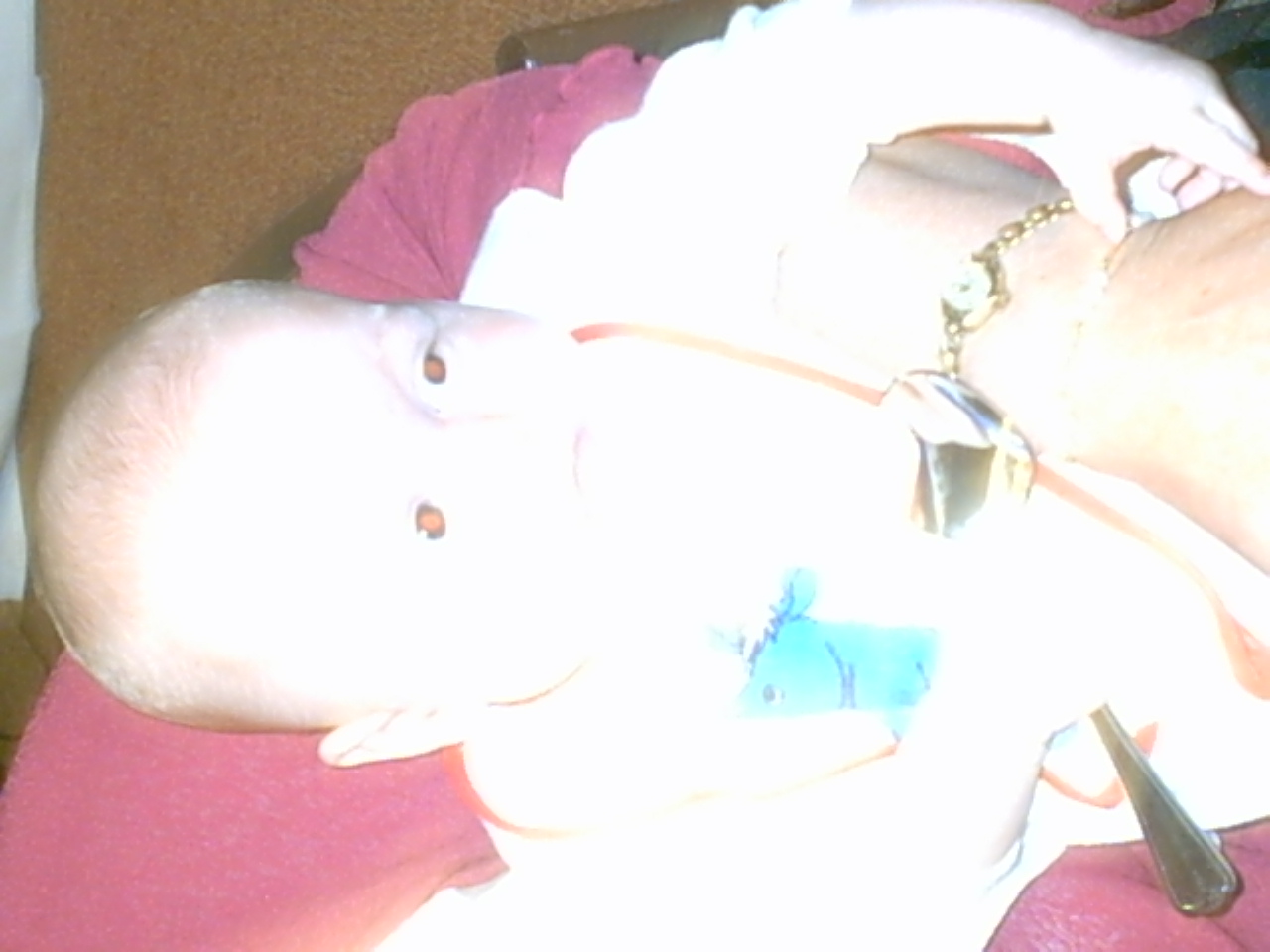 Kiesanowski and Kerdemelidis wedding trip/4_Breakfast/IMG00019.JPG